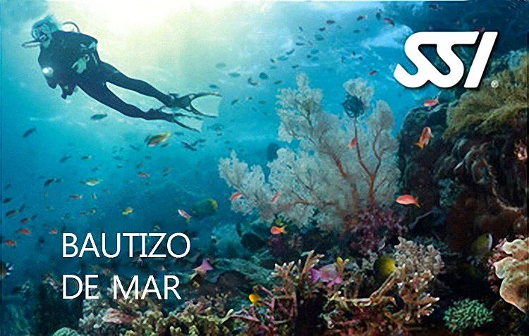 Recreación ilustrativa: Bautismo de buceo en el litoral de Tarragona