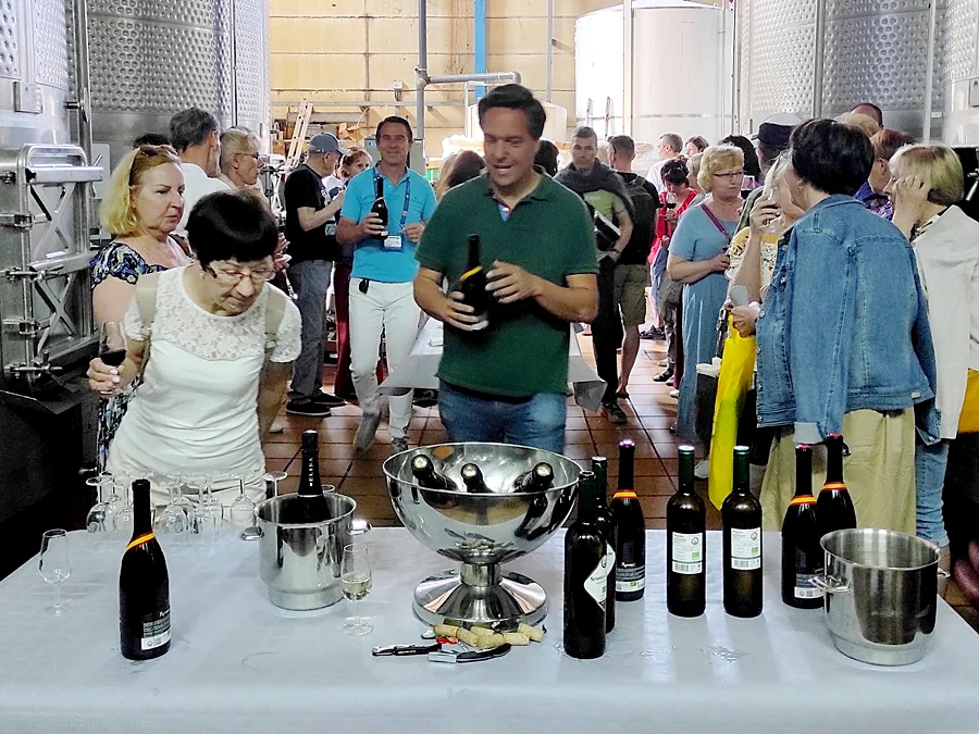 Recreación ilustrativa: Bodegas Garva: visita con cata de vinos ecológicos y aceite de oliva