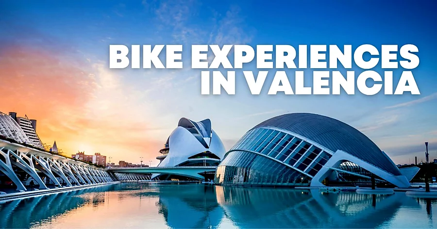 Recreación ilustrativa: Tour privado en e-bike por l’Albufera