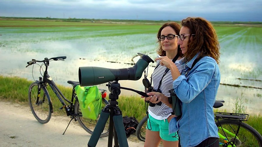 Recreación ilustrativa: Birds & Bikes: aves y paisajes de l’Albufera en bicicleta