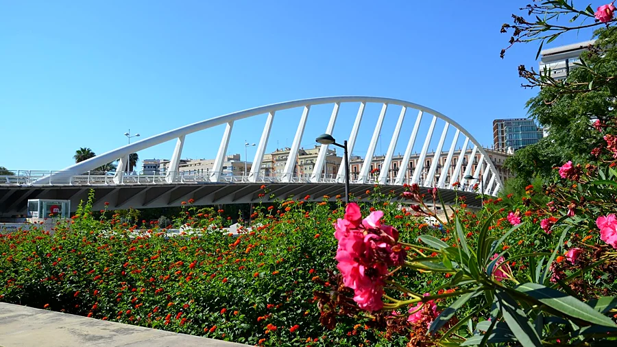 Recreación ilustrativa: Paseo guiado por los jardines y puentes del Turia