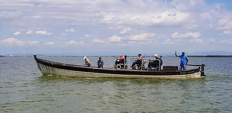 Recreación ilustrativa: Paseo en barca y ecoturismo en l’Albufera
