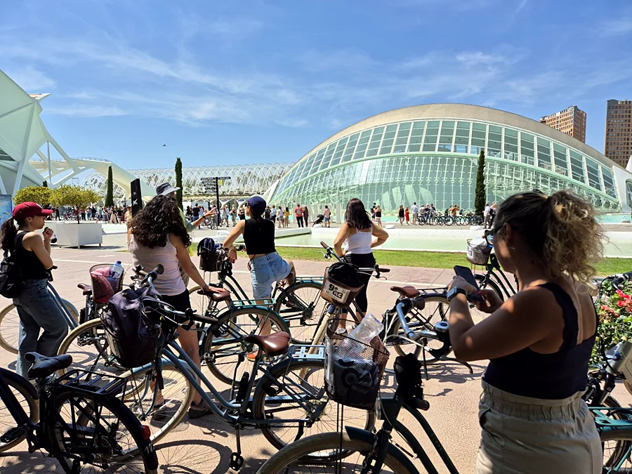 Recreación ilustrativa: Vive l’Albufera en bici: ruta guiada desde València