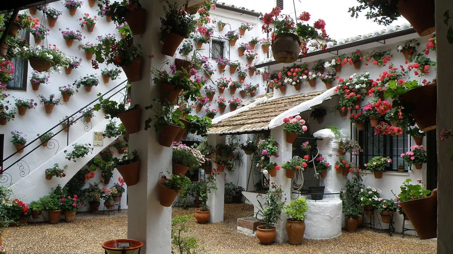 Festival de los Patios de Córdoba