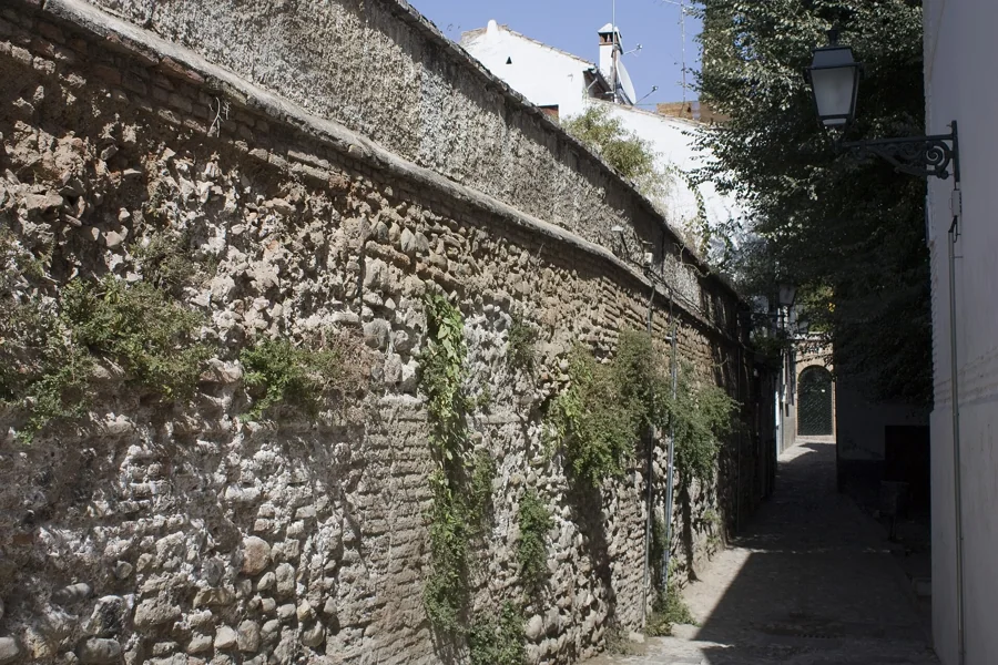 Muralla zirí de Granada