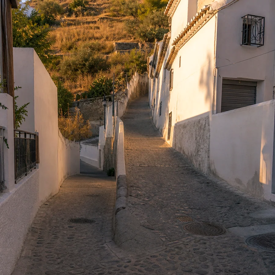 Recreación ilustrativa: Tortilla del Sacromonte