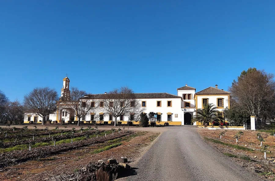 Monasterio de Santa María de las Escalonias en Hornachuelos: audioguía