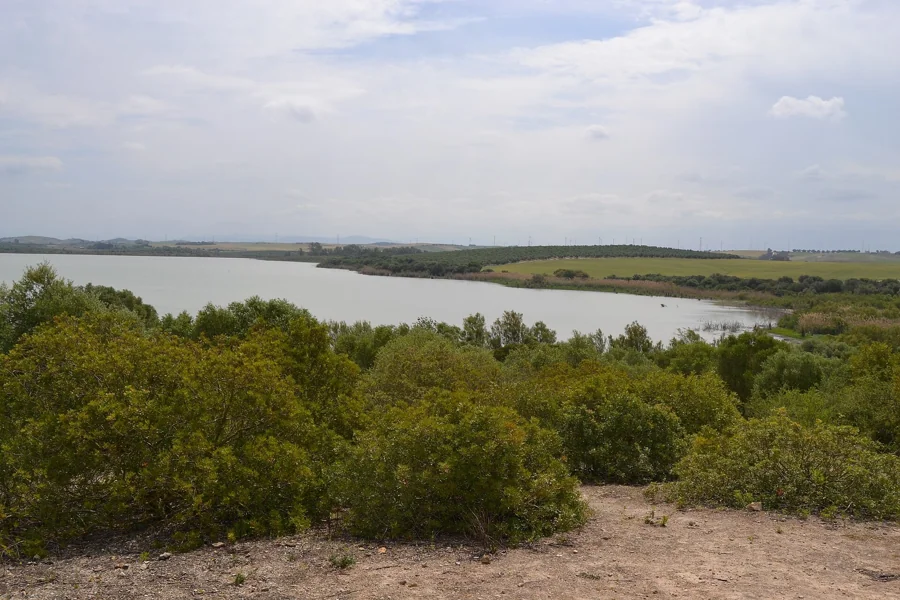 Laguna de Medina