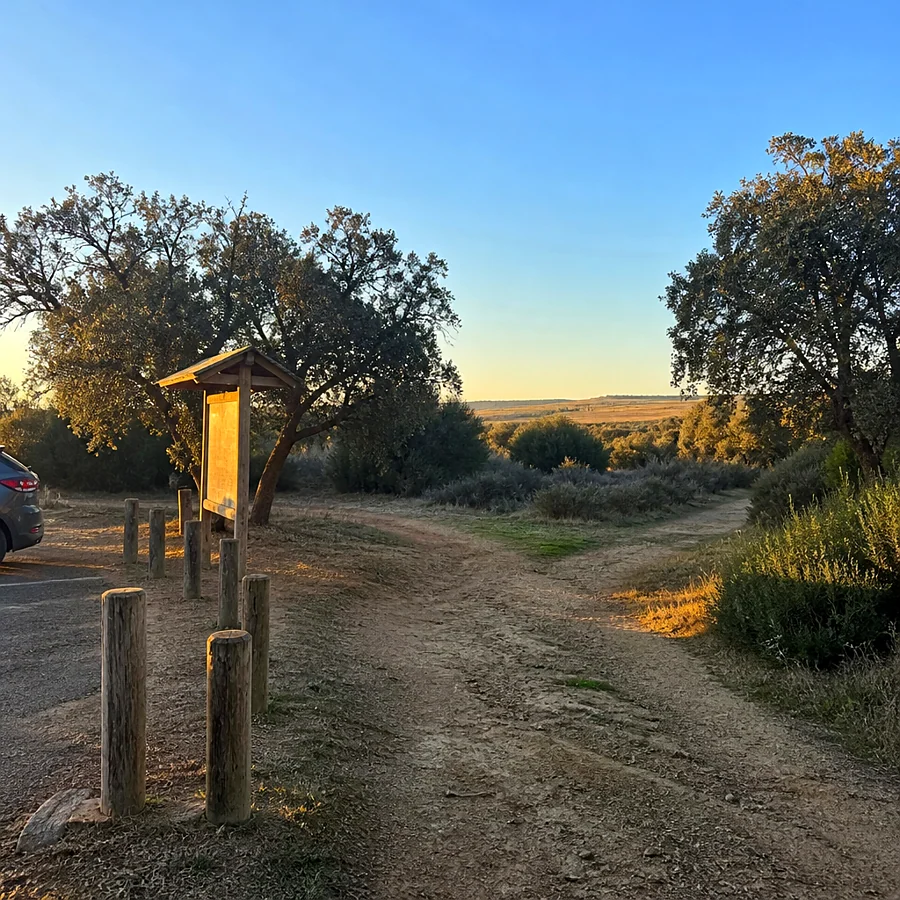 Recreación ilustrativa: Inicio del sendero de la Laguna de Medina en Jerez