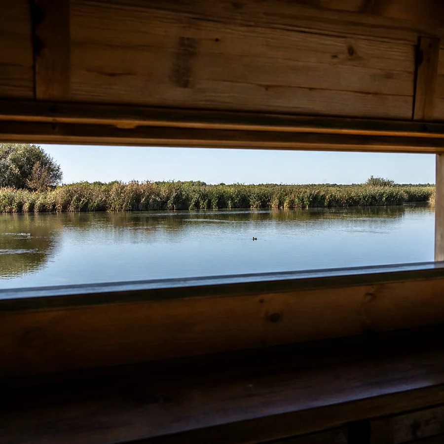 Recreación ilustrativa: Observatorio de aves de la Laguna de Medina en Jerez
