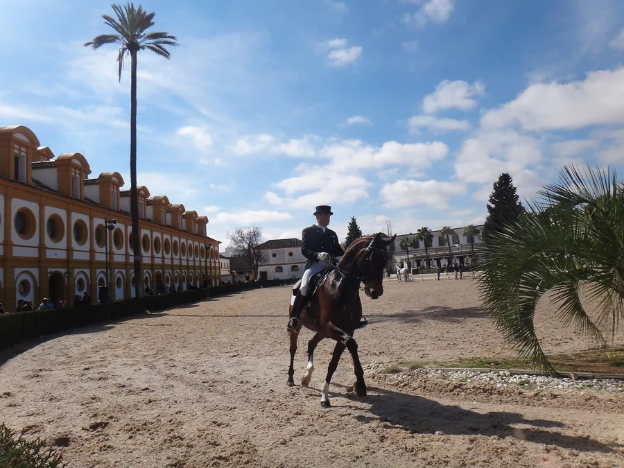 Fundación Real Escuela Andaluza del Arte Ecuestre
