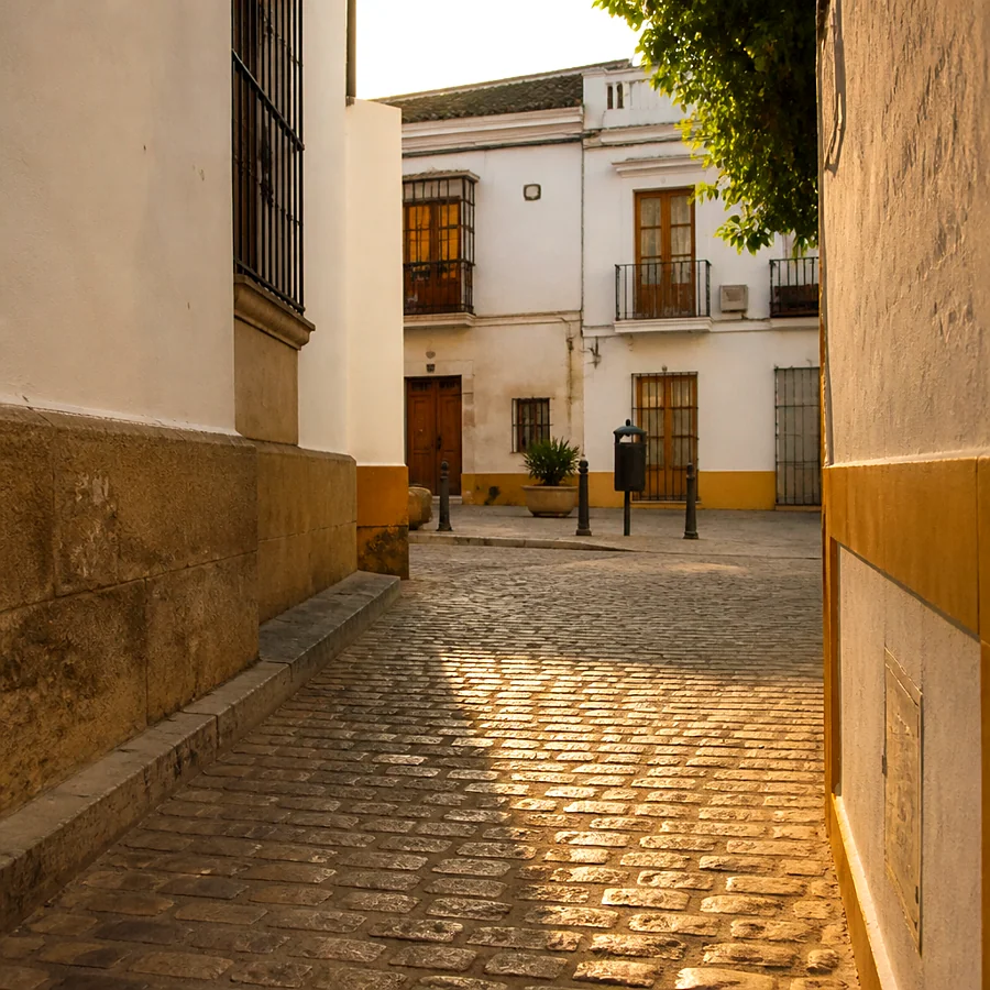Recreación ilustrativa: Barrio de San Miguel