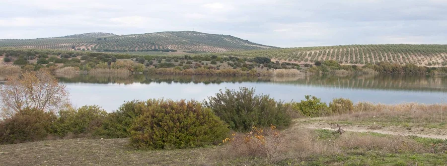 Ruta Natural de Aguilar y la Laguna de Zóñar