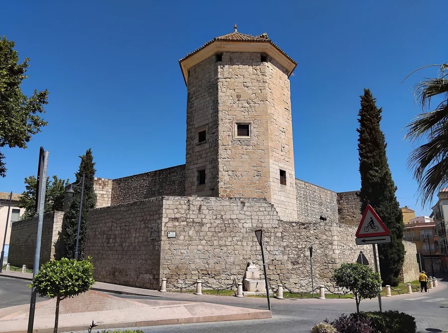 Del olivar a la almazara: visita y cata de AOVE