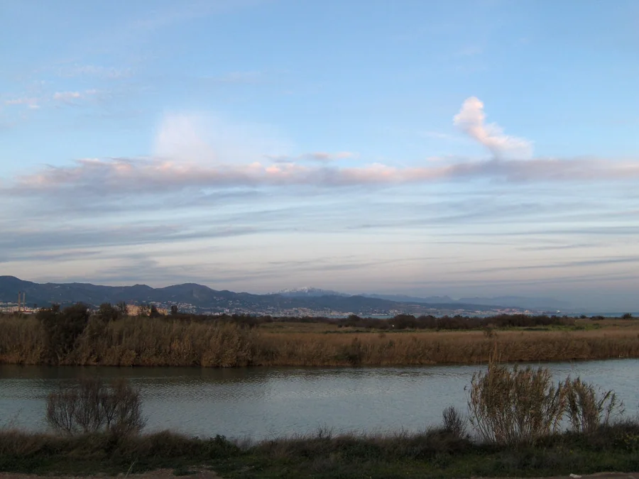 Paraje Natural de la Desembocadura del Guadalhorce