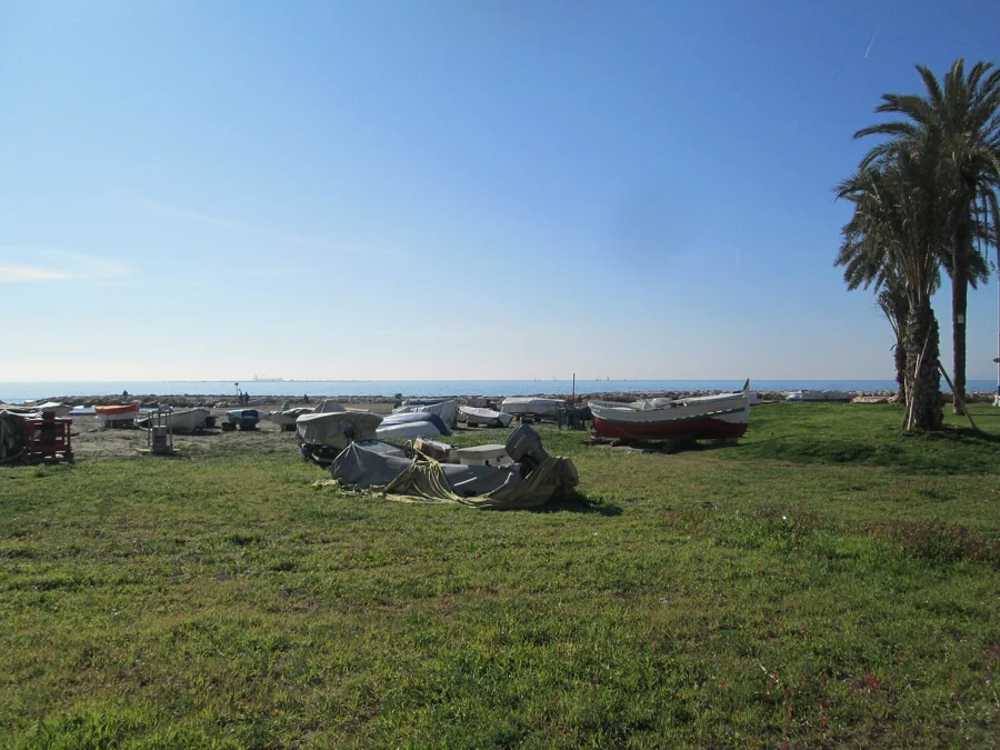 El Palo