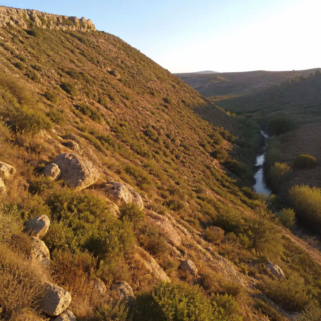Vista del arroyo Carchena desde el Recinto fortificado del Castillejo, Nueva Carteya
