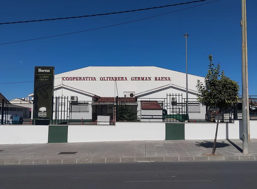 Aceite de Baena: audioguía del olivar y la almazara
