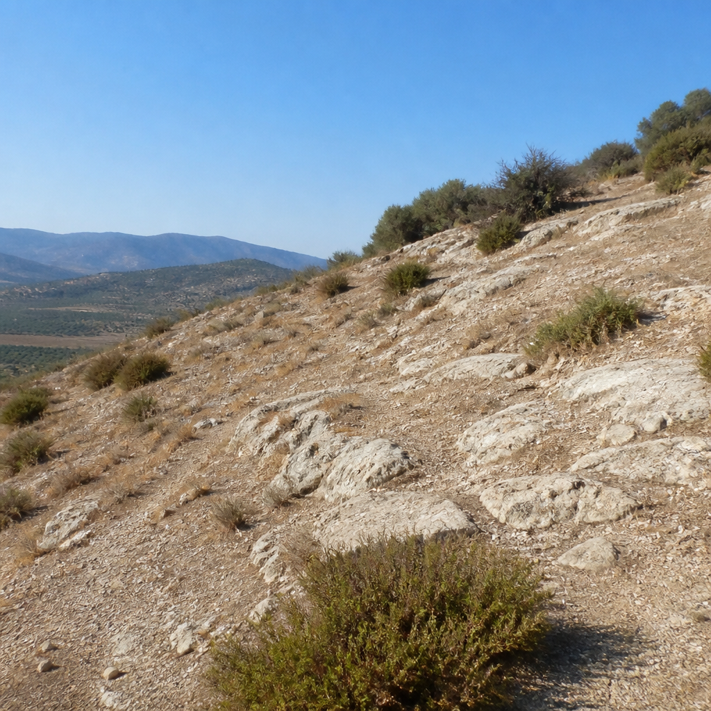 Cerámica en la ladera · Yacimiento del Cerro de los Toros