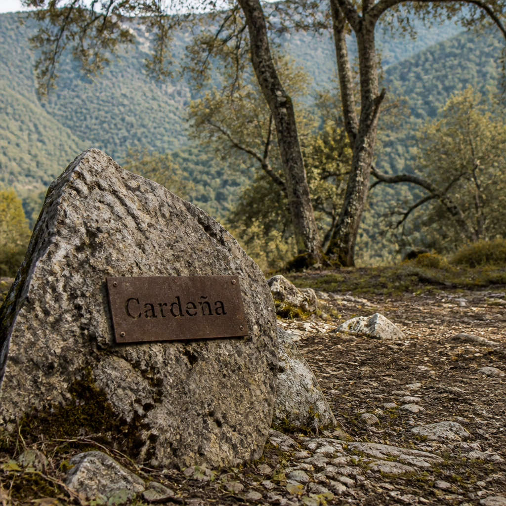 Parque natural Cardeña y Montoro: audioguía y qué ver en Cardeña