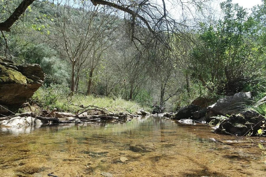 Parque Natural Sierra de Hornachuelos: audioguía de senderismo y patrimonio