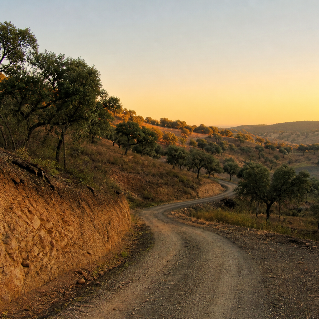 Carretera del Pantano del Bembézar junto a las Minas de la Plata de Posadas