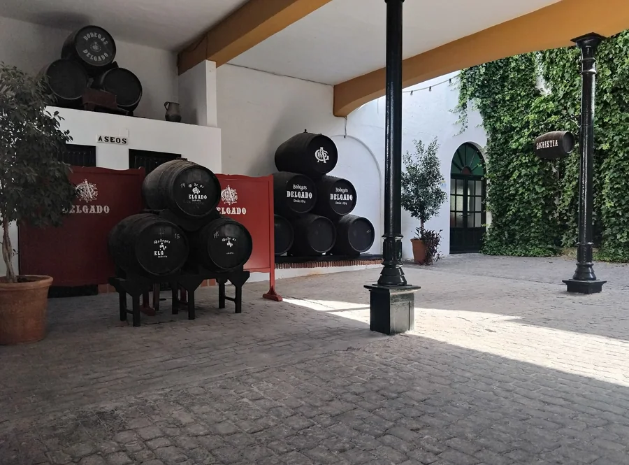 Visita guiada y degustación de tres vinos en Bodegas Delgado