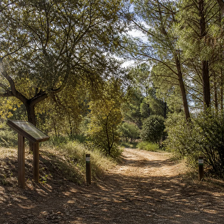 Recreación ilustrativa: Parque Periurbano Dehesa del Mercadillo y sendero Paco Marín