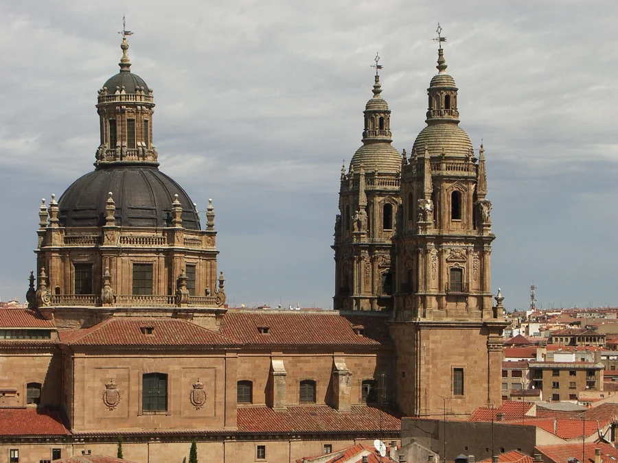 Scala Coeli: subida a las torres de la Clerecía