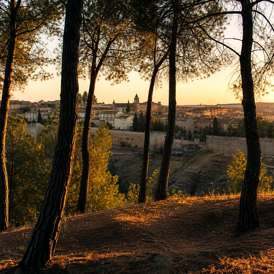 Recreación ilustrativa: Cementerio judío de El Pinarillo con vistas a la Judería de Segovia