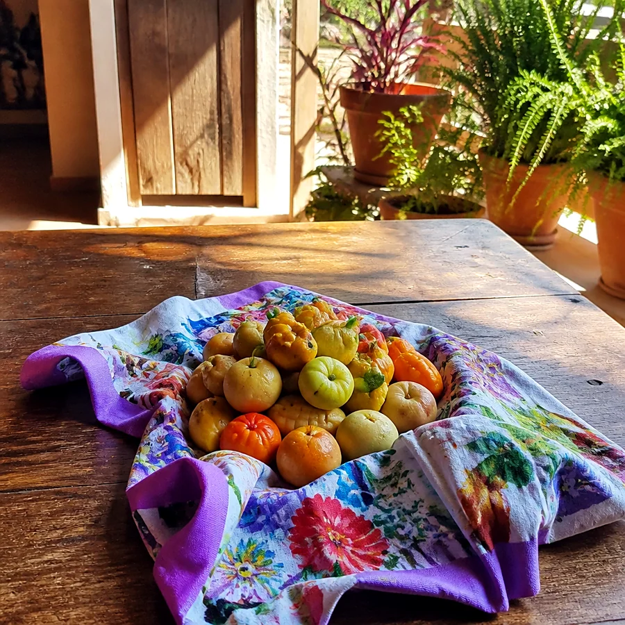 Recreación ilustrativa: Mocadorà valenciana con mazapán de frutas y hortalizas, dulce tradicional de Sant Donís