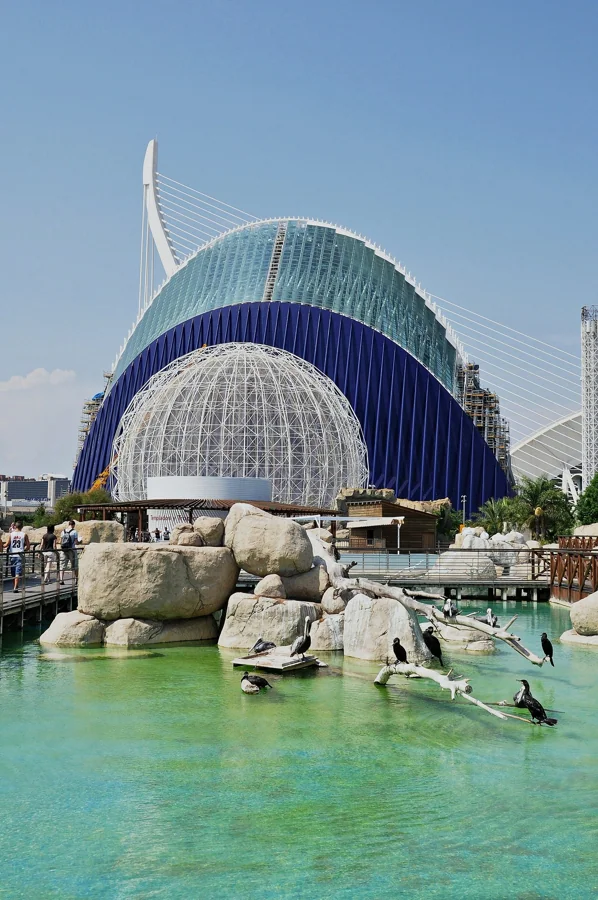 Islas: leones marinos al aire libre · Oceanogràfic de València