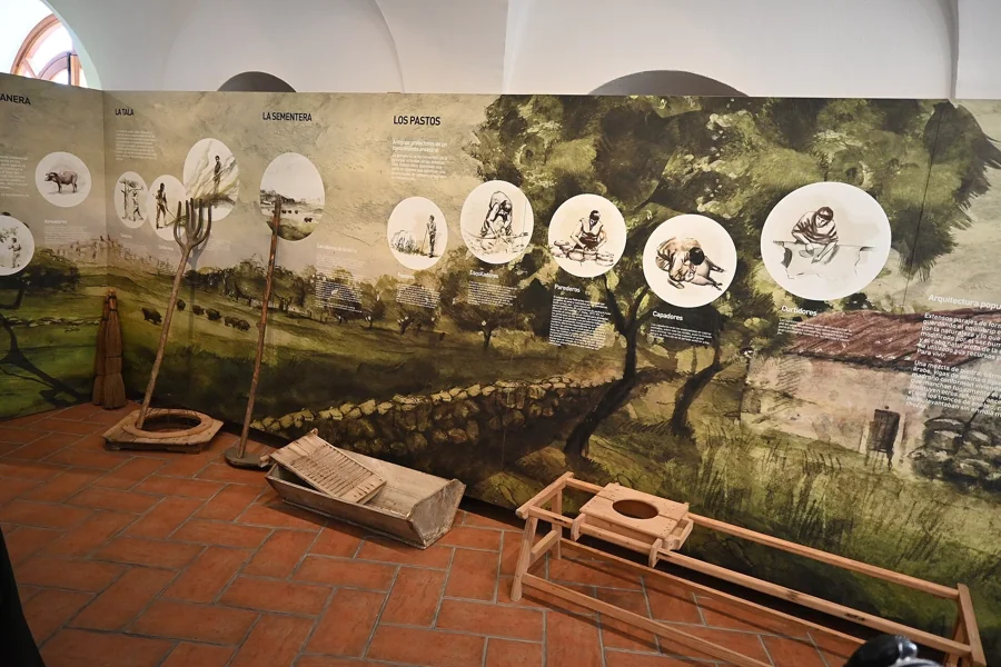 Centro de Interpretación de la Dehesa en Villanueva de Córdoba: guía de la visita