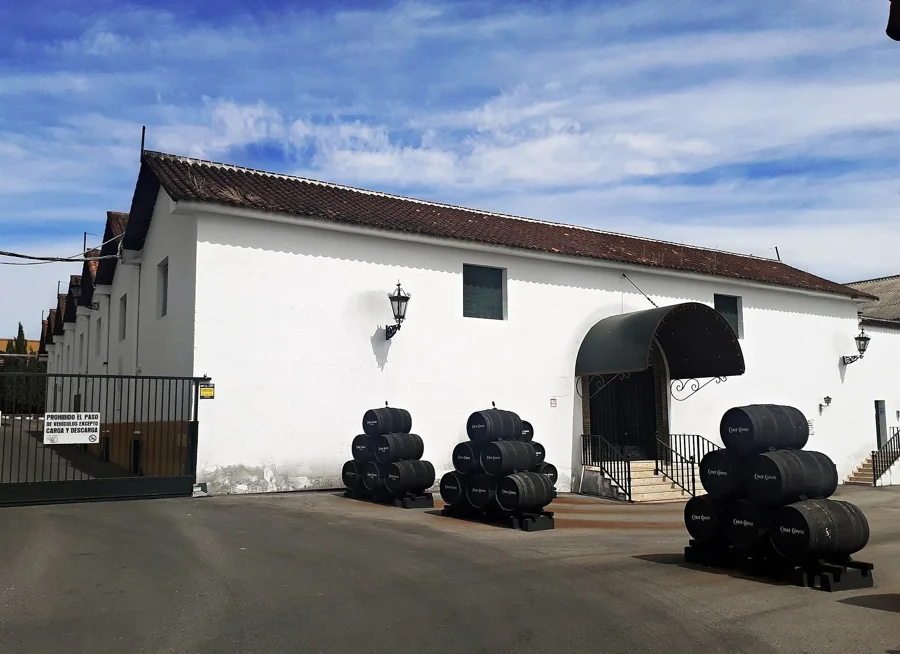 Paseo entre viñas y cata de vinos ecológicos en Finca Buytrón