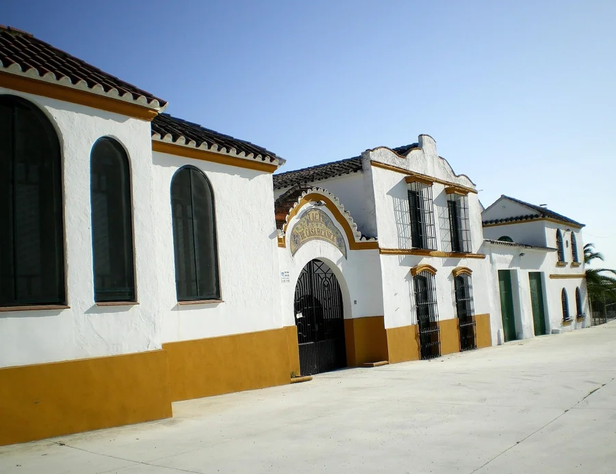La Ruta del Arqueólogo: bodega y museo privado